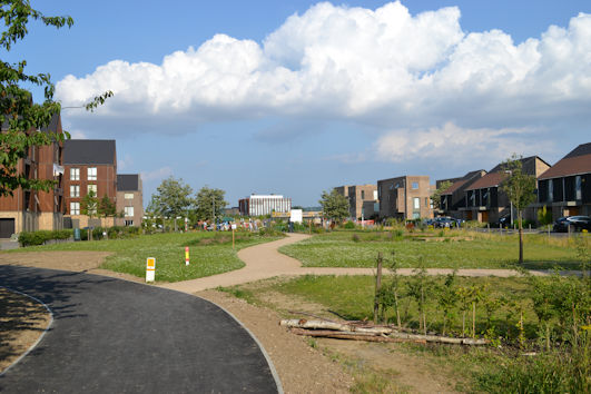 Clay Farm Community Garden from the Busway, after the completion of the access path. Photo: Andrew Roberts, 22 July 2021.