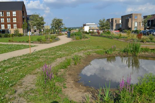 Clay Farm Community Garden, after the completion of the access path. Photo: Andrew Roberts, 22 July 2021.