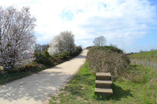 The north approach to the agricultural bridge, Trumpington Meadows Country Park. Photo: Andrew Roberts, 23 March 2021.