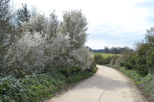Looking south from the agricultural bridge. Photo: Andrew Roberts, 23 March 2021.