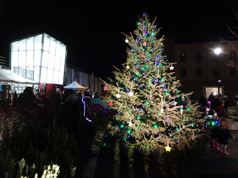 Trumpington Meadows Christmas tree. Photo: Andrew Roberts, 2 December 2022.