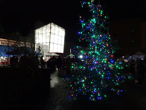 Trumpington Meadows Christmas tree. Photo: Andrew Roberts, 11 December 2021.